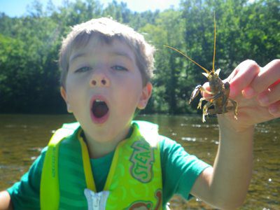 A child in a neon green life vest holds up a crayfish with an expression of awe and excitement