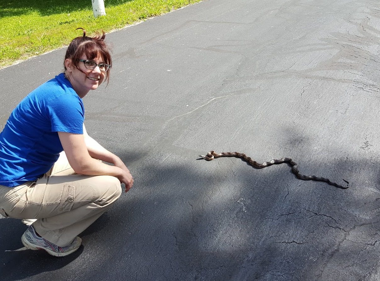 A femme presenting person wearing glasses, in a blue t-shirt and khaki pants with reddish brown hair in an updo, smiling and looking at the camera, kneeling on a road next to a ratsnake in a distinctive "kinked" posture.