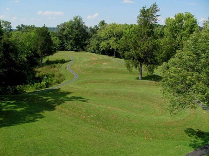 Aerial photograph of Serpent Mound