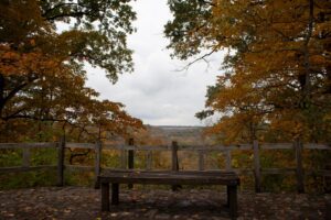 a bench sits in front of a cliff overlooking the Little Miami River valley, trees with brightly colored fall leaves frame the view. 