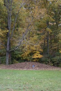 Stone covered mound