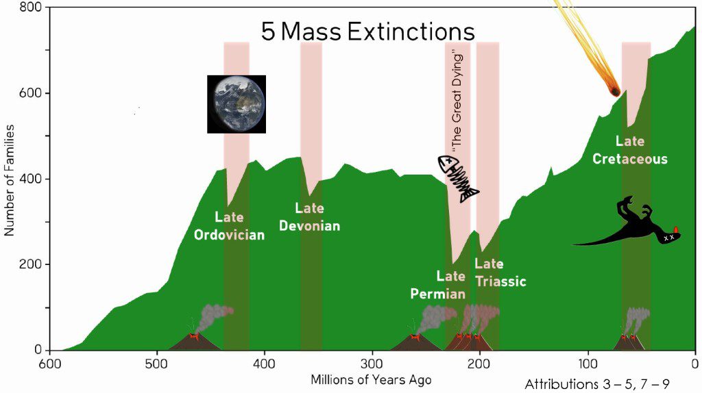 5-mass-extinctions-1024x574.jpg