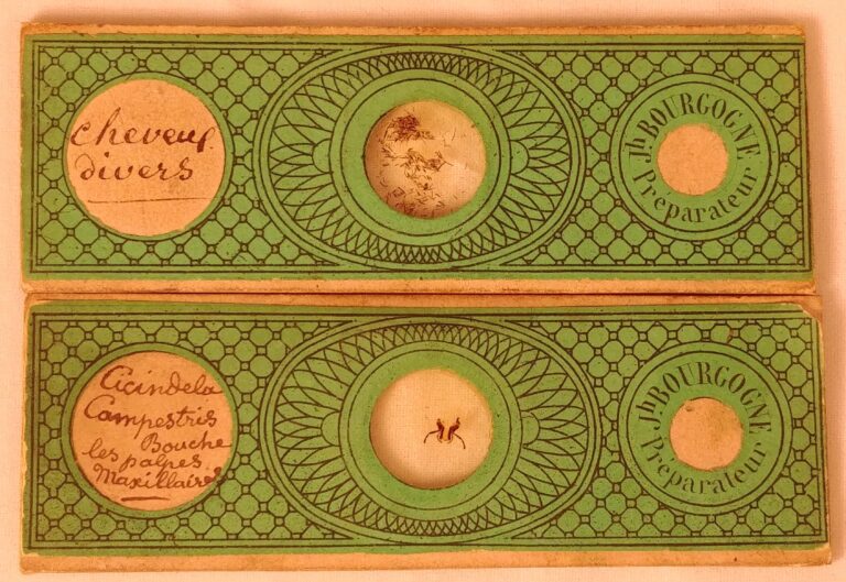 Slides produced by Joseph Bourgogne with wrappers similar to his slides from mid-1850s