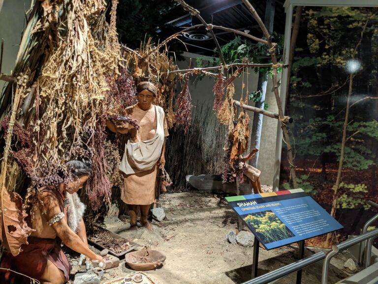 The museum displays show was daily life was like for the ancient Indigenous people of Ohio.