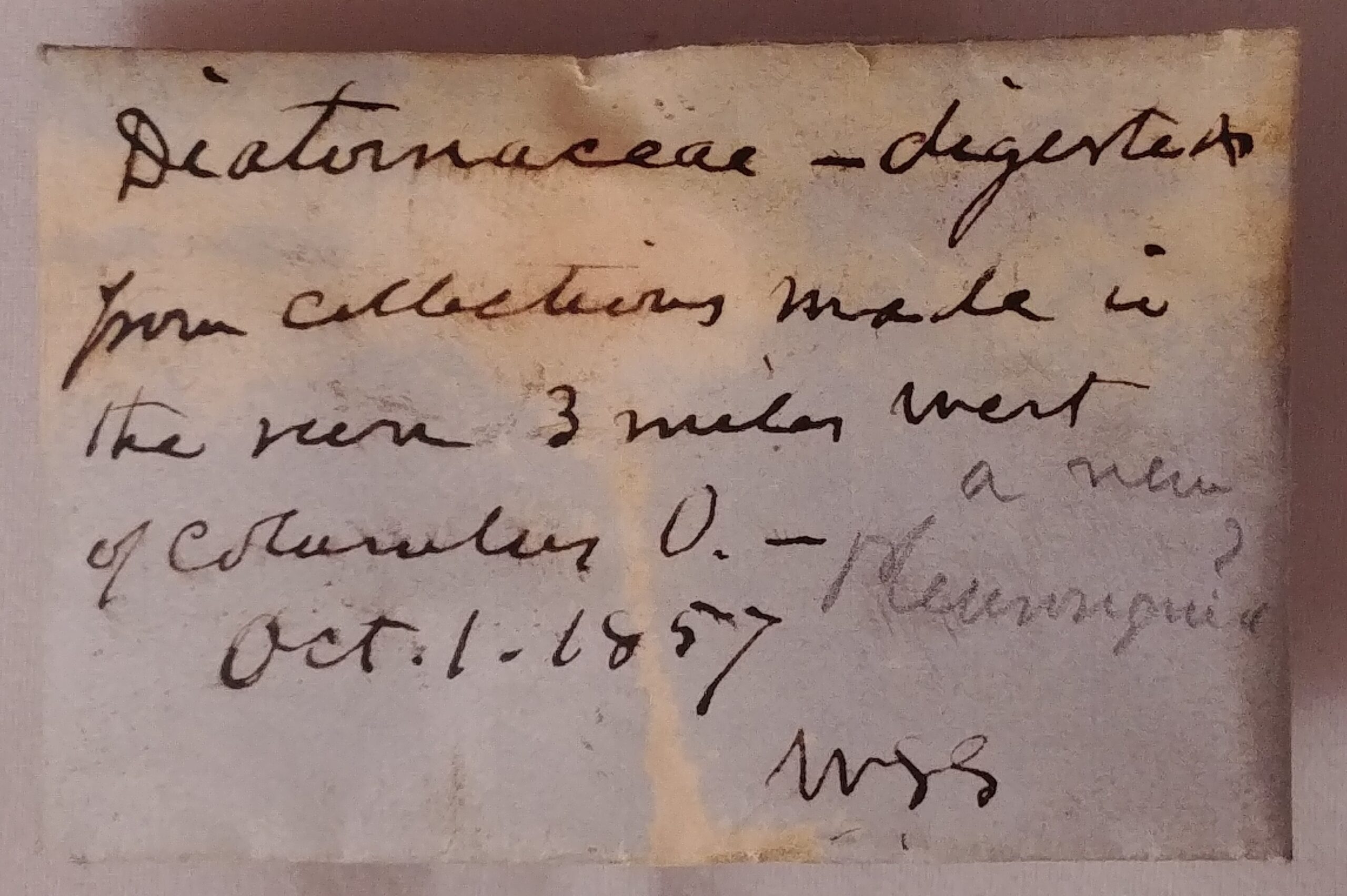 A packet of diatoms collected by William Sullivant in 1857