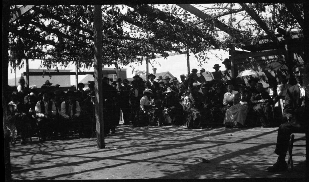 Drawing Together Comics and the Return of Museum Collections to White