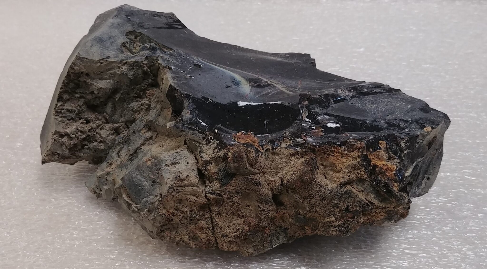 What is it? Identification of Natural History Objects Ohio History