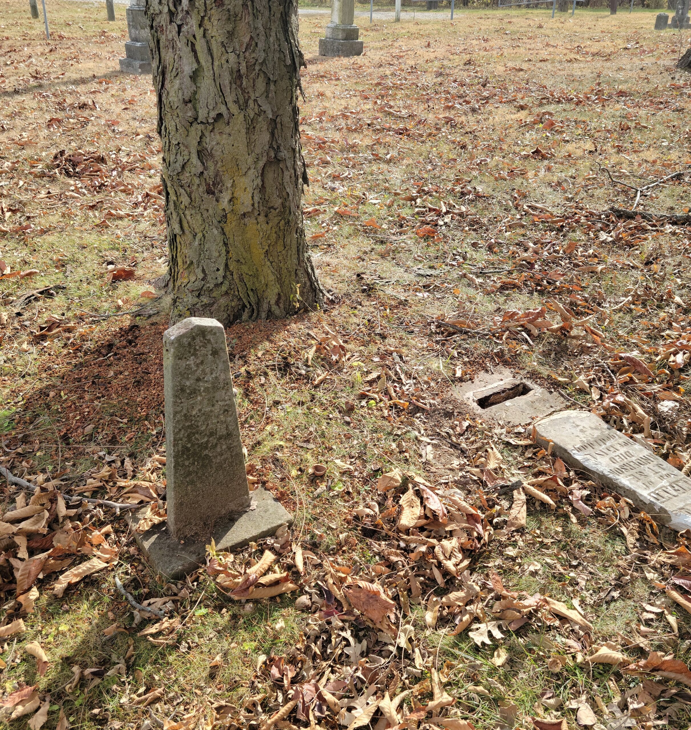 Viola Kearnes gravestone (left) and the base of Emma Kearnes gravestone (right)