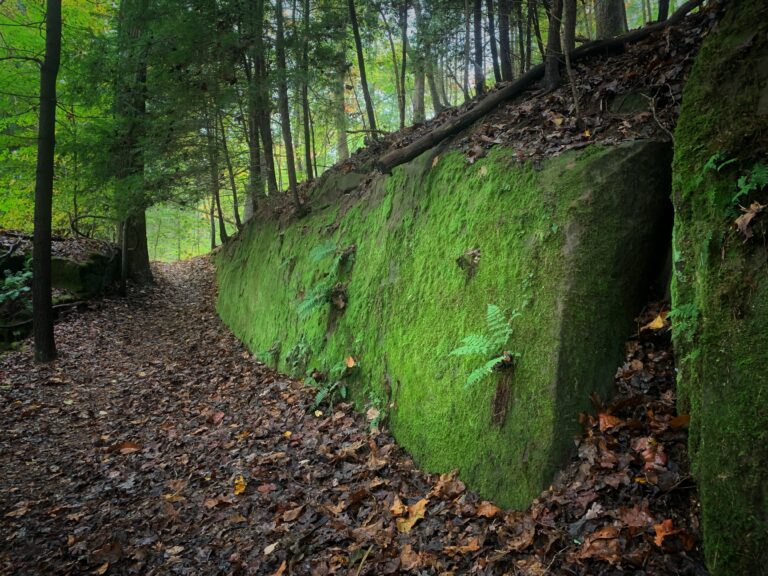 Hiking oath in the woods with a moss-covered wall to the right side