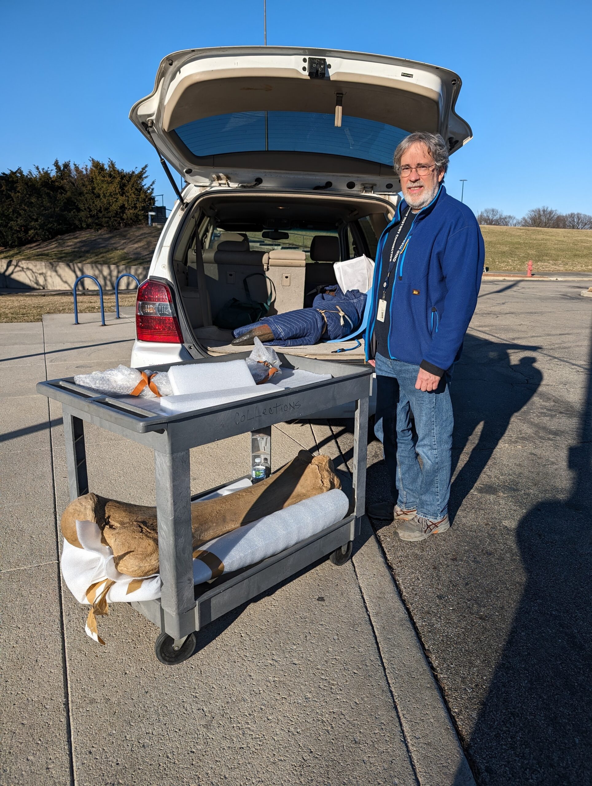 A man standing next to a cart with a large bone about to load it into the back of a car. 