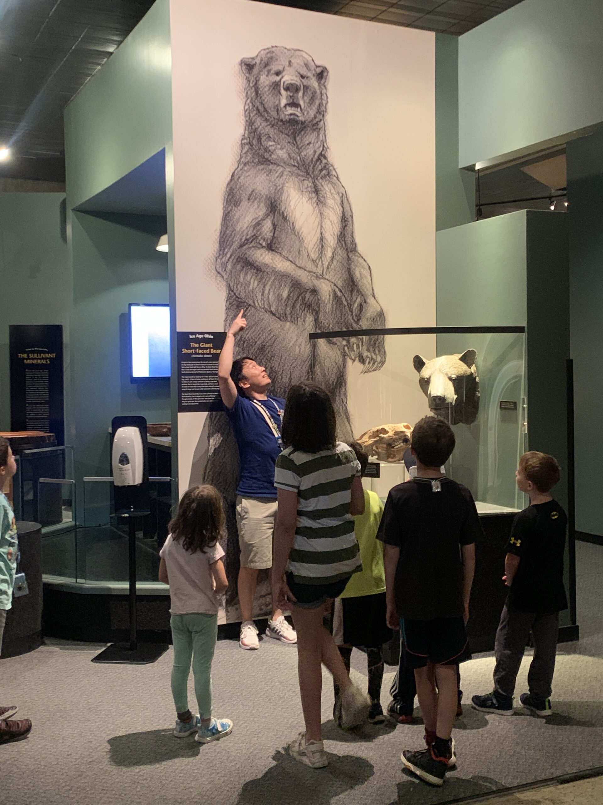 Museum Interpreter showing a group the height of a bear in the Nature of Ohio exhibit.