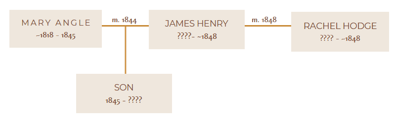 The James Henry family tree, dates provided from the lore. Created by Marie Swartz.