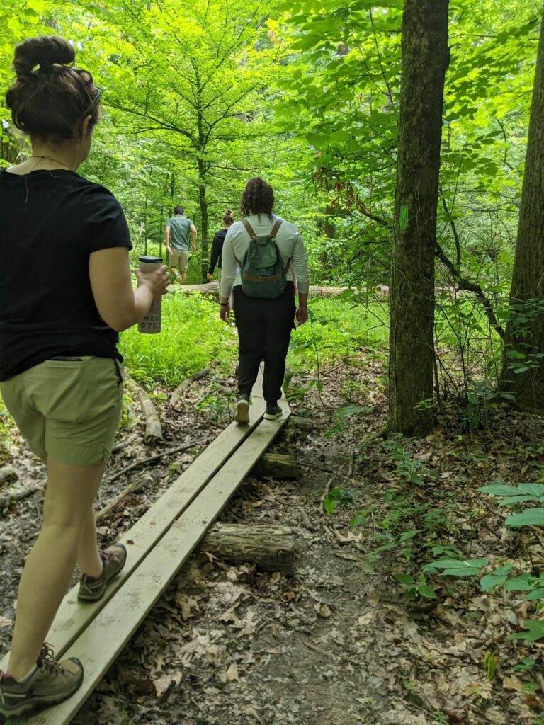 Four people walking along a hiking trail in a forest.