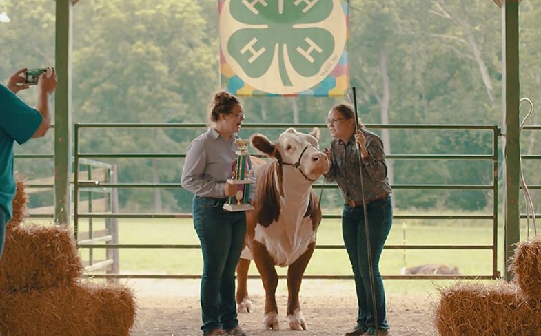 Photograph of two young women standing on either side of brown and white cow. Girl on left is holding trophy. They are standing beneath a 4-H banner. 