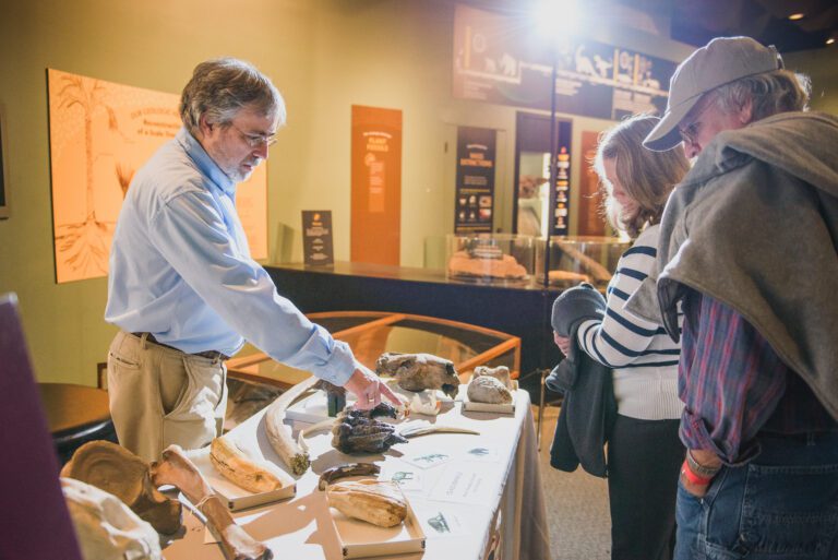 Natural History Curator Dave Dyer showing animal bone artifacts to 2 guests at the Ohio History Center.