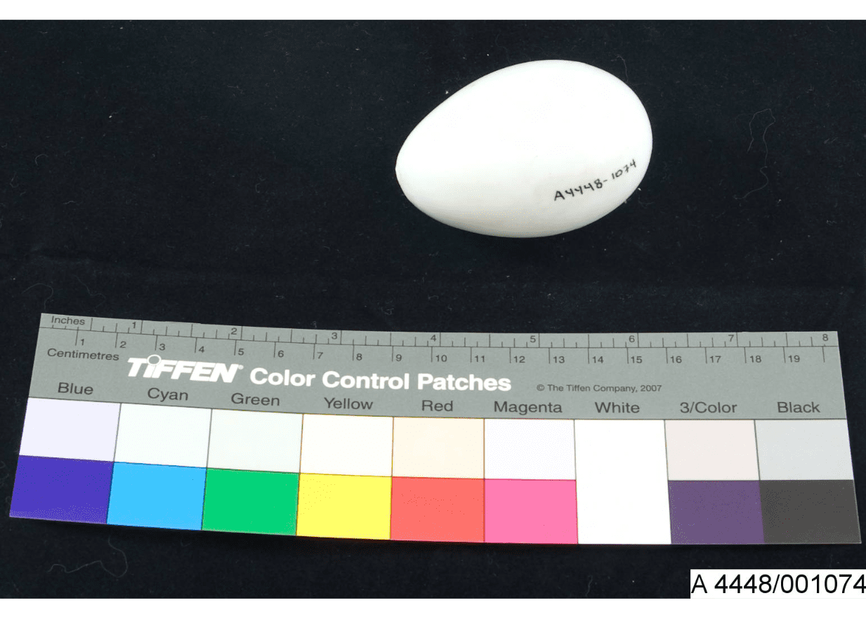 White glass egg with "A 4448-1074" written on it.