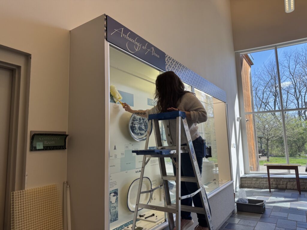 A woman standing on a ladder dusting inside an exhibit case