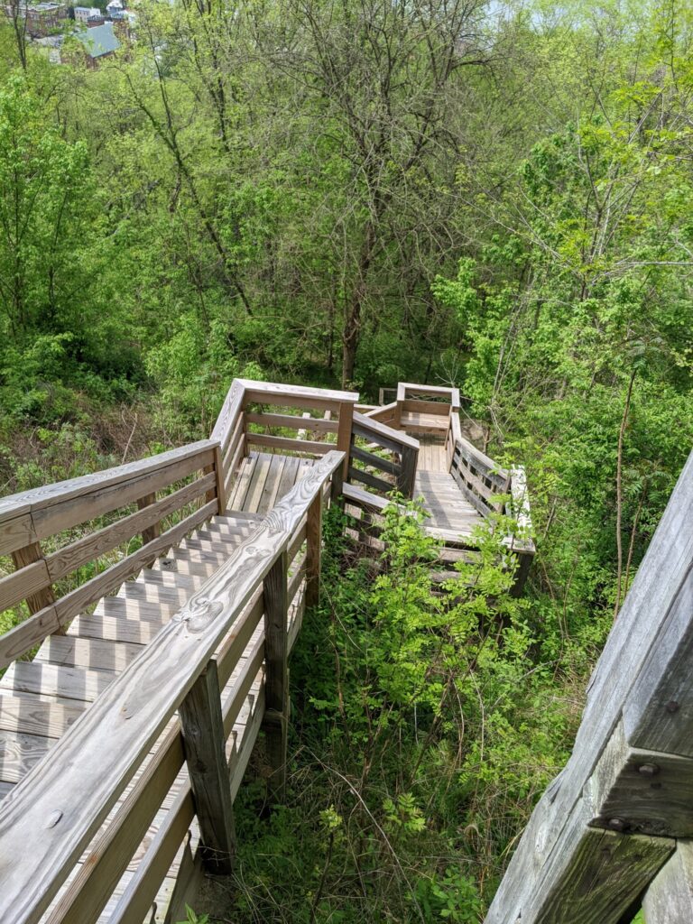 A large staircase leading down into a forested area