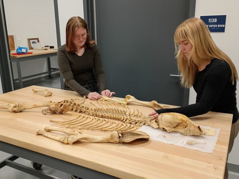 Grayson (left) and Grace (right) studying a bear skeleton.