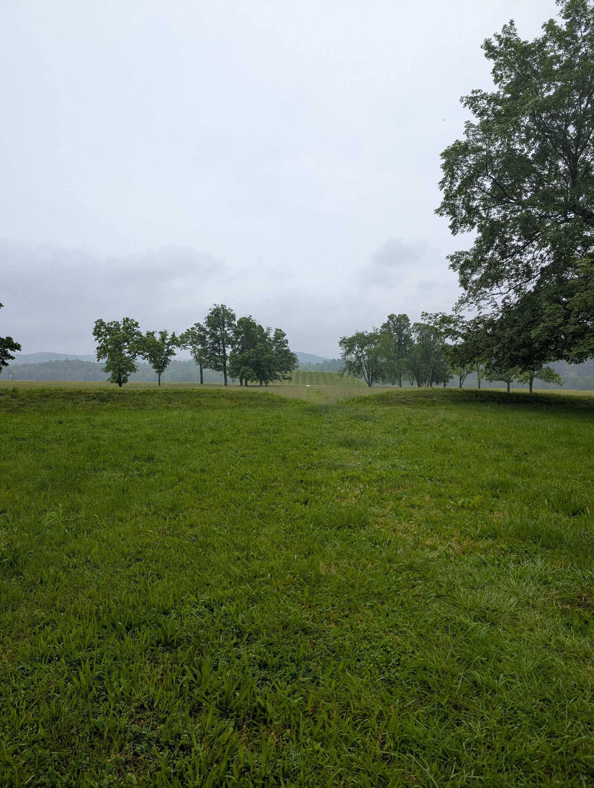 blog-image