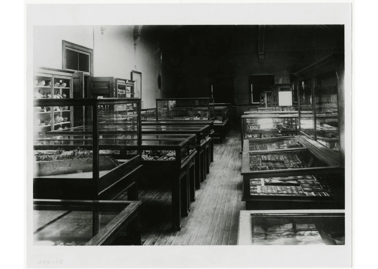 A black and white photo of a museum hall filled with cases containing archaeological artifacts such as projectile points and pottery