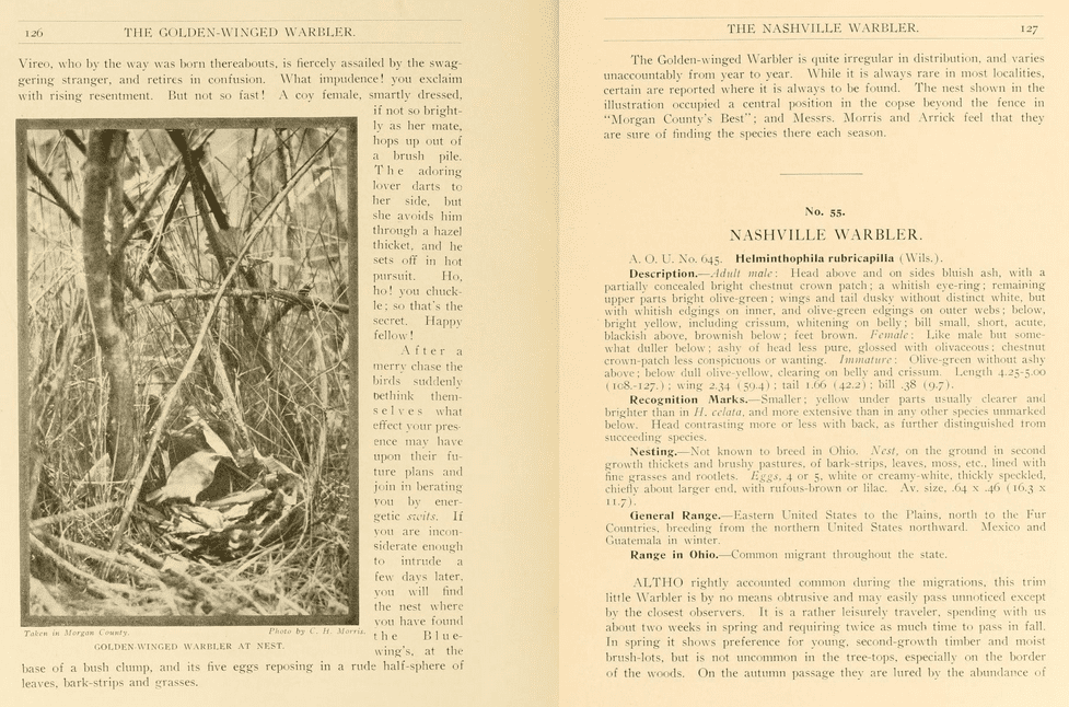 A screenshot of two pages from a historic text. The left page has a black-and-white photograph of a Golden-winged Warbler at its nest on the ground and text surrounding the photo. The facing page is text stating the species is “quite irregular in distribution” and also has the beginning of the species profile for Nashville Warbler.