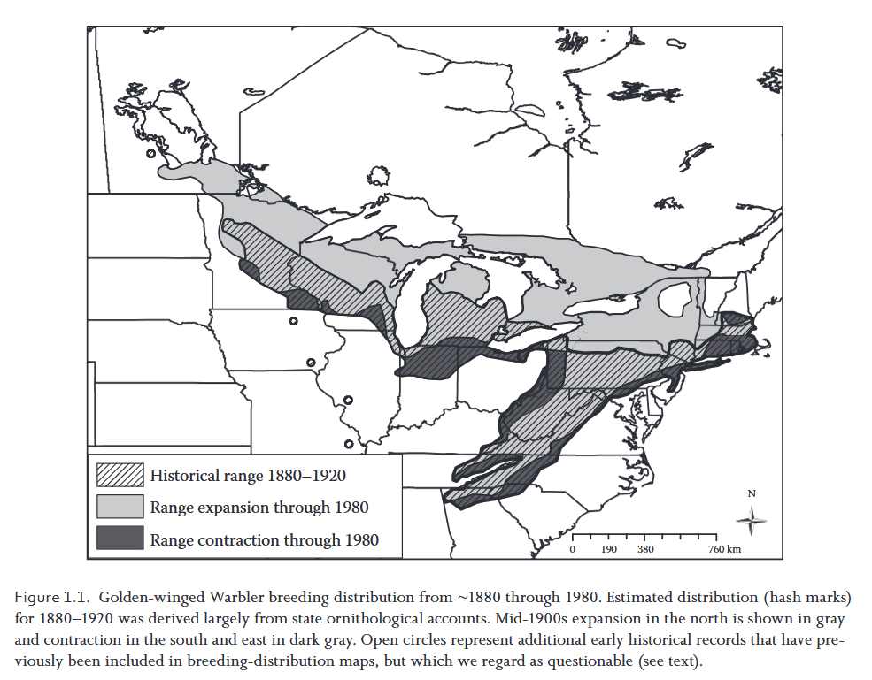 Map showing current and historic Golden-winged Warbler range. From Streby, H. M., D. E. Andersen, and D. A. Buehler, 2016. Text reads: Figure 1.1. Golden-winged Warbler breeding distribution from ~1880 through 1980. Estimated distribution (hash marks) for 1880-1920 was derived largely from state ornithological accounts. Mid-1900s expansion in the north is shown in gray and contraction in the south and east in dark gray. Open circles represent additional early historical records that have previously been included in breeding-distribution maps, but which we regard as questionable (see text).