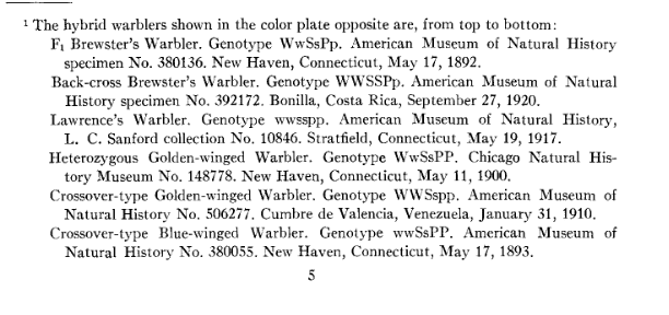 The hybrid warblers shown in the color plate opposite are, from top to bottom:  F1 Brewster’s Warbler. Genotype WwSsPp. American Museum of Natural History Specimen No. 380136. New Haven, Connecticut, May 17, 1892. Back-cross Brewster’s Warbler. Genotype WWSSPp. American Museum of Natural History  specimen No. 392172. Bonilla, Costa Rica, September 27, 1920. Lawrence’s Warbler. Genotype wwsspp. American Museum of Natural History, L. C. Sanford collection No. 10846. Stratfield, Connecticut, May 19, 1917. Heterozygous Golden-winged Warbler. Genotype WwSsPp. Chicago Natural History Museum No. 148778. New Haven, Connecticut, May 11, 1900. Crossover-type Golden-winged Warbler. Genoytpe WWSspp. American Museum of Natural History No. 506277. Cumbre de Valencia, Venezuela, January 31, 1910. Crossover-type Blue-winged Warbler. Genotype wwSsPP. American Museum of Natural History No. 380055. New Haven, Connecticut, May 17, 1893.