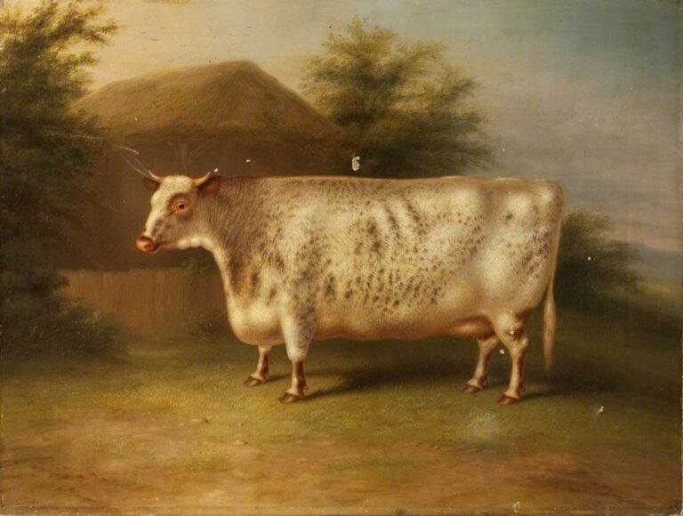 oil on canvas painting of a shorthorn cow