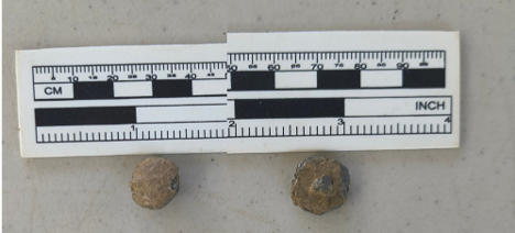 The outer (left) and inner (right) sides of a pewter button excavated from Fort Laurens in 2026.