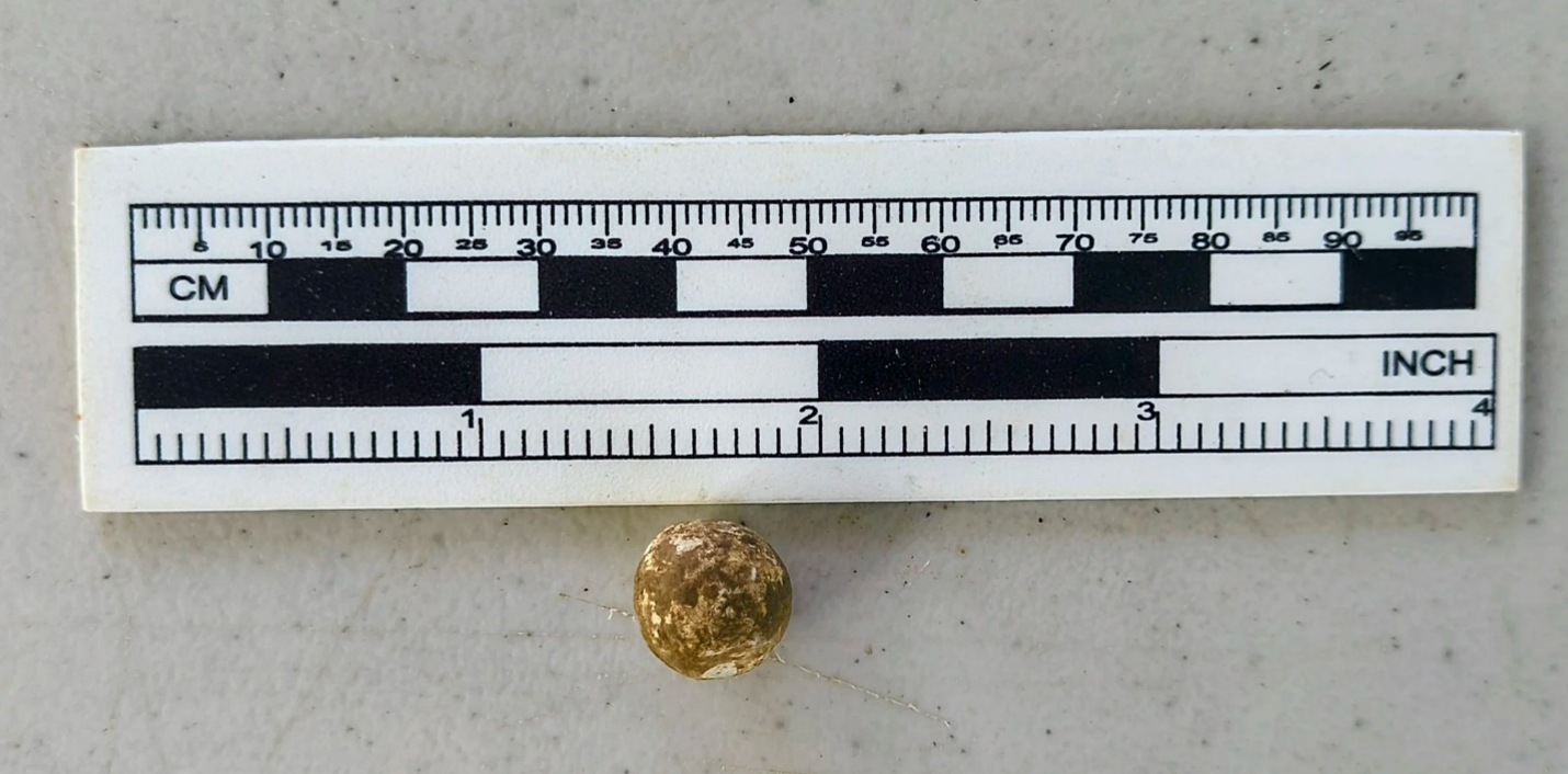 An un-fired rifle ball from the southwestern bastion, excavated from Fort Laurens in 2026.