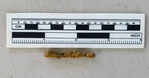 A square nail, from the Fort Lauren's construction in 1778. Excavated in 2026.