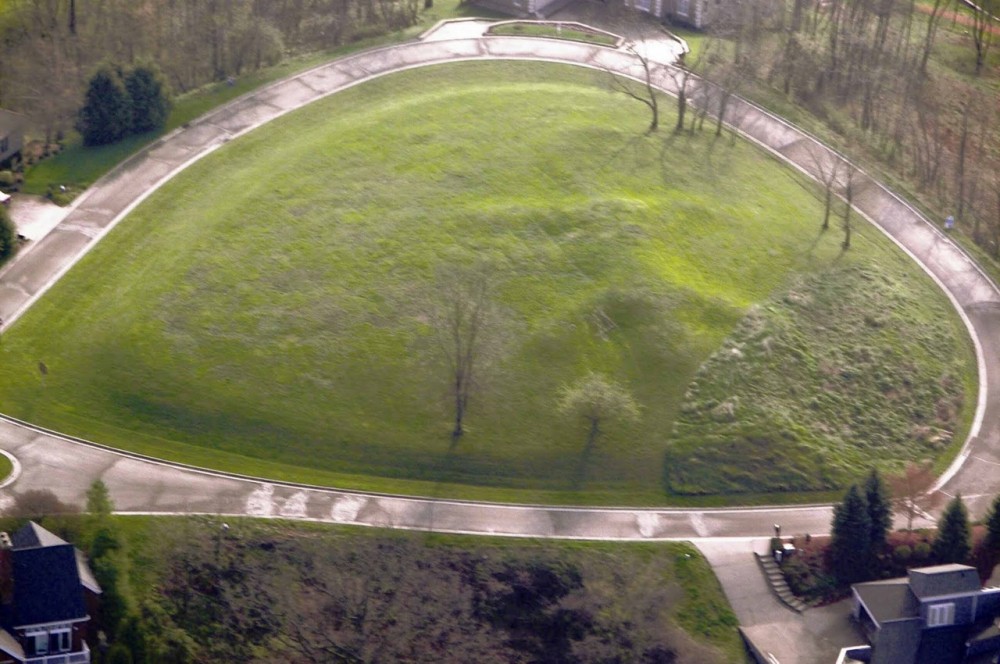2_Alligator Mound aerial 2