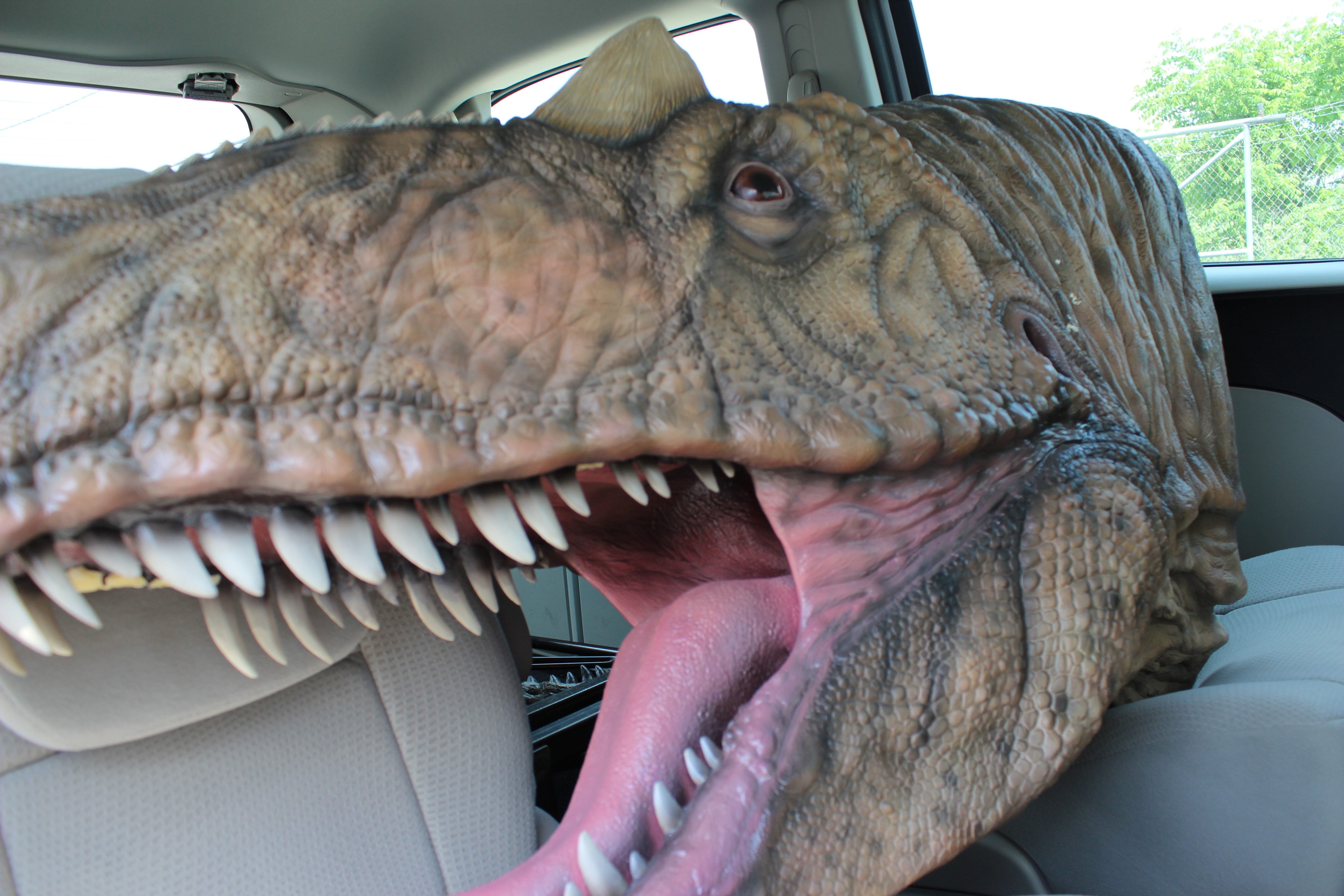 Dino-Head-Eleph-Tusk-003.jpg
