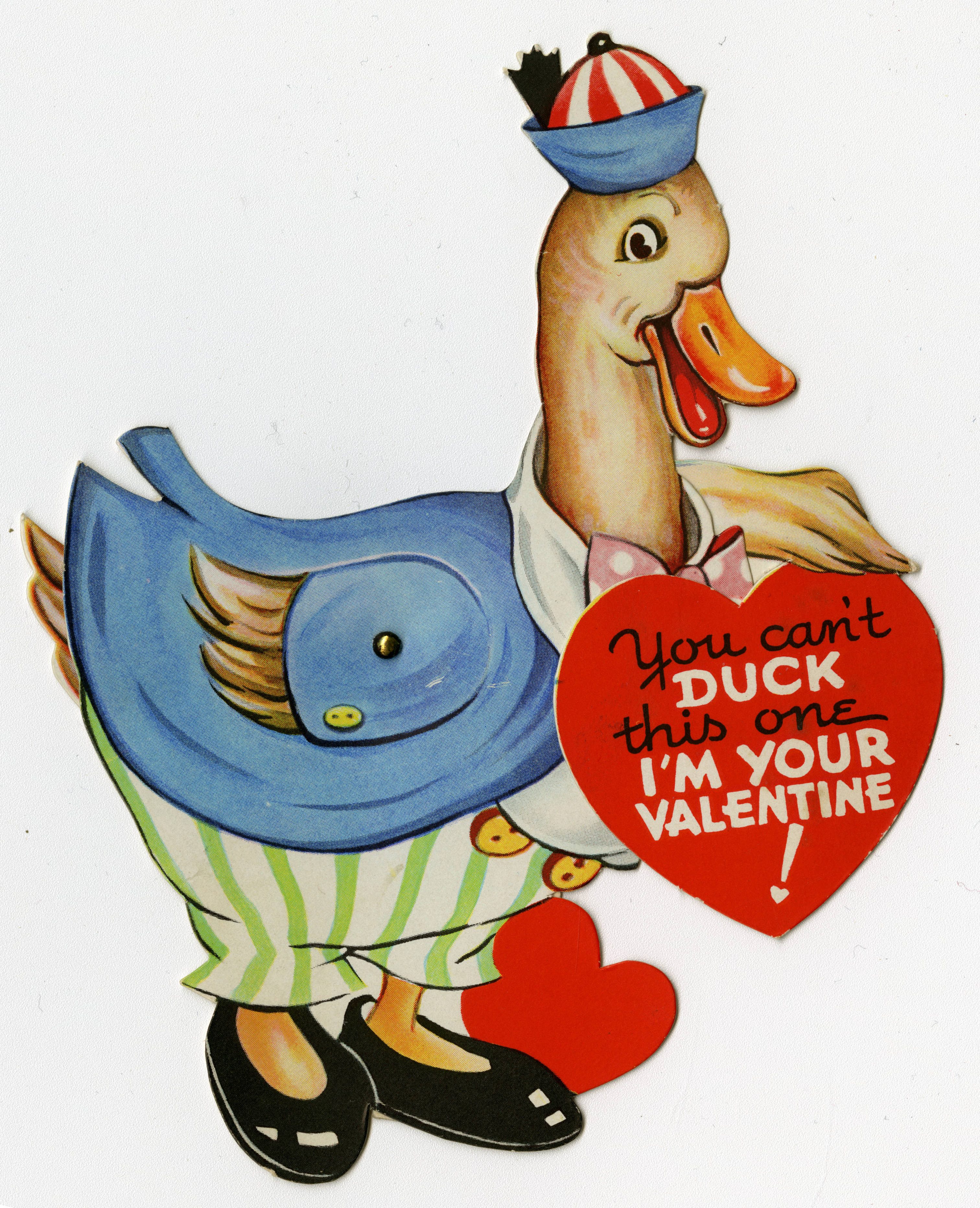 Duck-Valentine.jpg