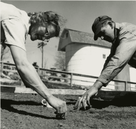 Husband-and-wife-gardening.png