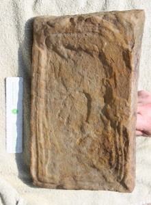 Sandstone slab from Tarlton Cross.
