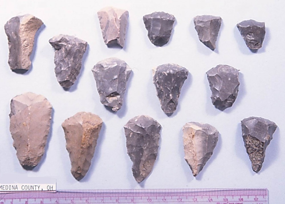 Selection of endscrapers from Paleo Crossing. Endscrapers are the most common type of tool found at Clovis sites.