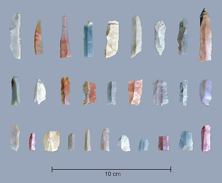 Bladelets made from Flint Ridge flint recovered from Pinson Mounds. Image courtesy of Robert Mainfort