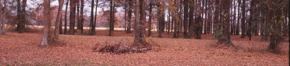 Poverty Point enclosure walls