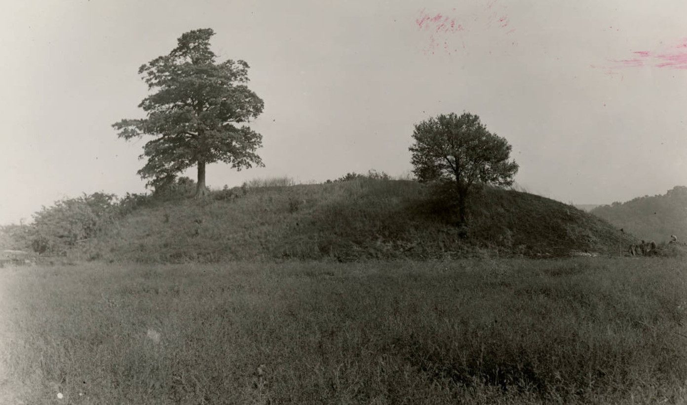 Seip-Mound-Before-Excavation