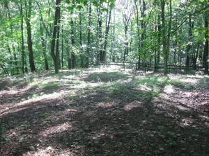 Tarlton Cross Mound