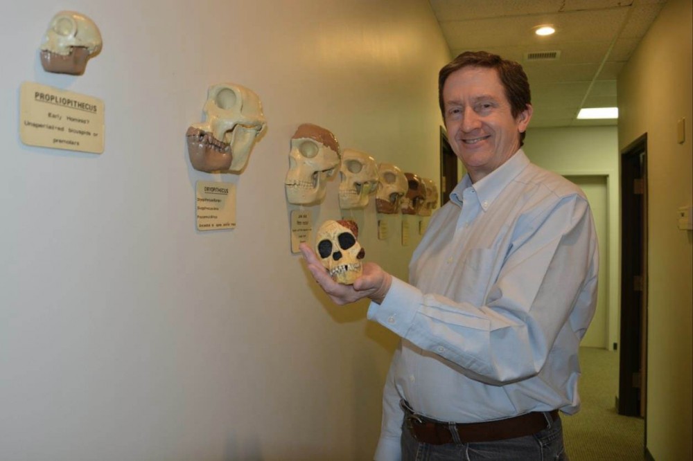Curator Brad Lepper holding a modern replica of the Taung child's skull in the "Hall" of Human Evolution.