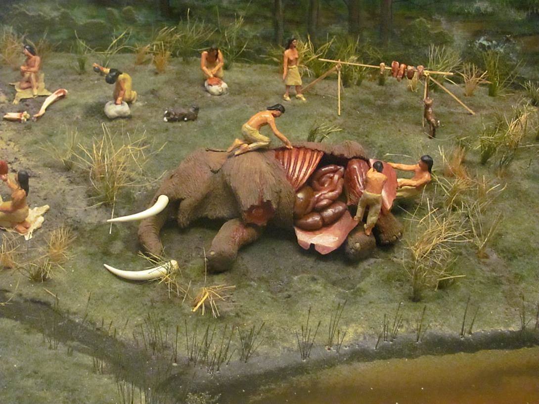Diorama showing mastodon being butchered by Clovis hunters