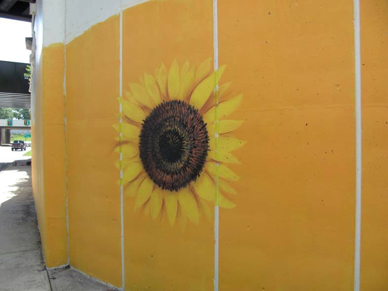 sunflower